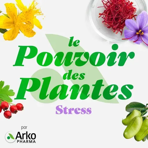 Le Stress