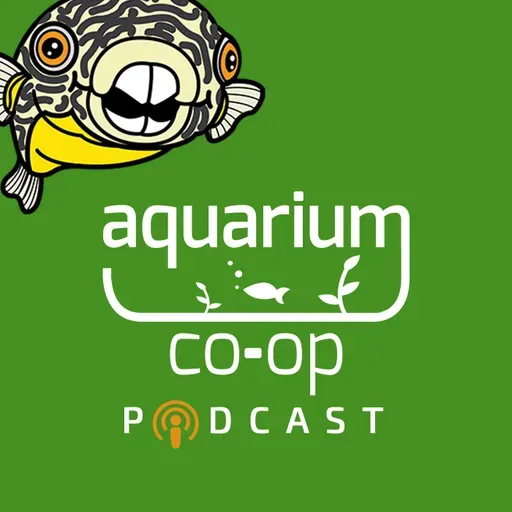 Aquarium Chat While You Clean - Sunday School 3pm EST