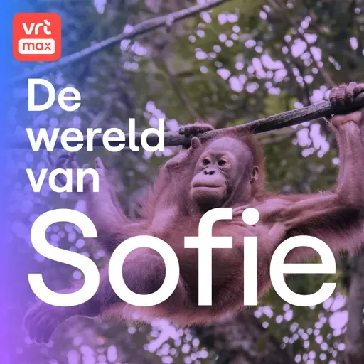 Zootjes