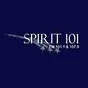 Spirit 101 - WWPN