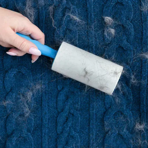 Morning Hack  10/6/2025   The Many Uses Of A Lint Roller!