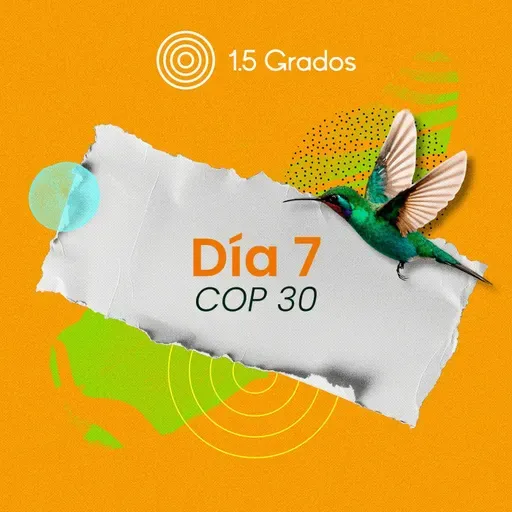Así fue el día 7 de la COP30