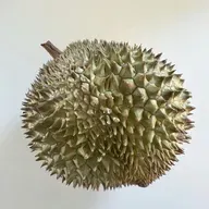 Durian Delight and Feijoa Fun: Adventures in Banned, Forgotten, and Unusual Fruit