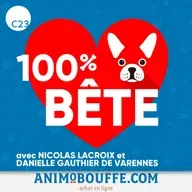 Les problèmes de comportements chez le chien