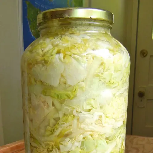 Fermented Foods