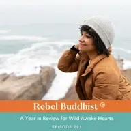 A Year in Review for Wild Awake Hearts