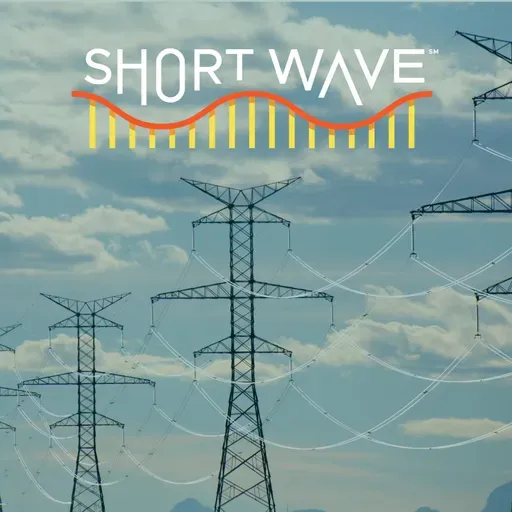 The Power Grid Problem