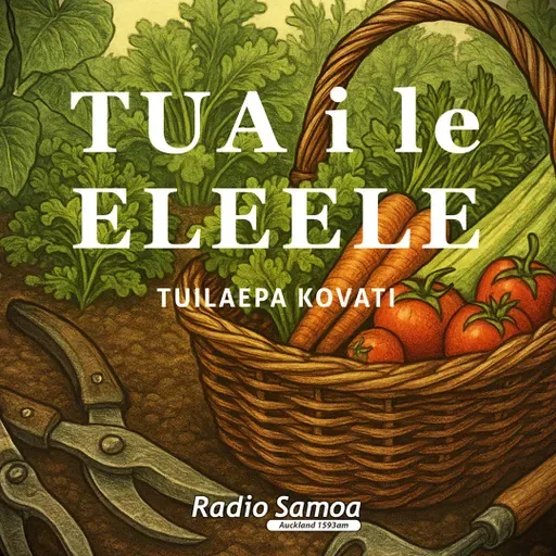 TUA i le ELEELE #33