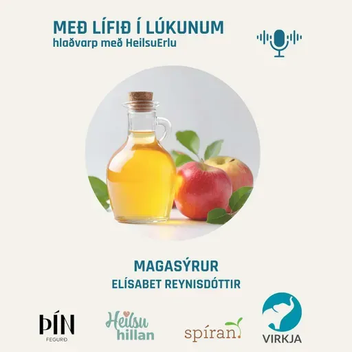 Magasýrur, hvers vegna skipta þær miklu máli? Elísabet Reynisdóttir. (Heilsumoli 40)