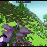 I DIDN'T SEE THE DRAGON.