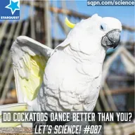 Do Cockatoos Dance Better Than You? The Science Behind Their Moves