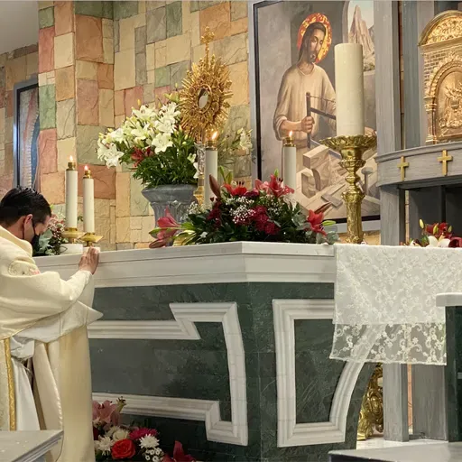 Homilías Dominicales 12/06/2022