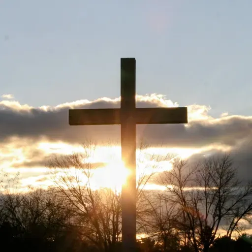 THE GREAT HEALER