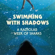 Swimming with Shadows: A Radiolab Week of Sharks