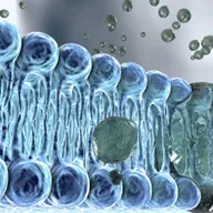 The Innovative Cellular Engineering That Keeps Us Alive