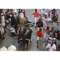 Decisiones en la Mesa del encierro Sanfermines 2025