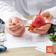 What Are The Best Practices For Prostate Cancer Screening?