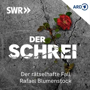 Der Schrei – Der rätselhafte Fall Rafael Blumenstock