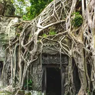 Building the roots of a world that will work - with Victoria Hurth, co-author of Beyond Profit