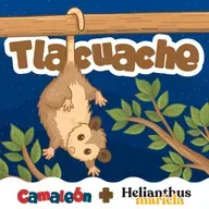 Tlacuaches: maestros del engaño