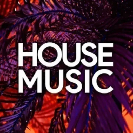 HOUSE THE JOY OF LIFE CELEBRATE DJ CH