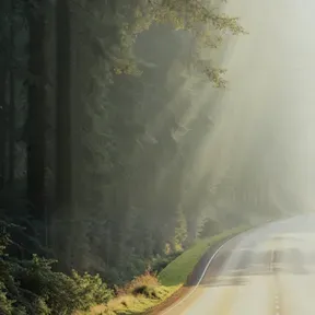 All About Life with Mitzi