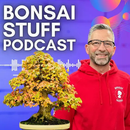 Season 8 Episode 17 - Practical Advice for Styling your Pines