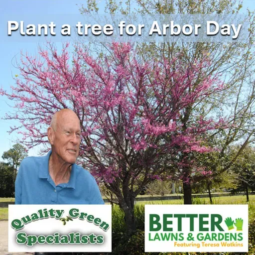 S2 Ep444: Better Lawns and Gardens - Hour 1 Native Trees For Arbor Day April 18 2026