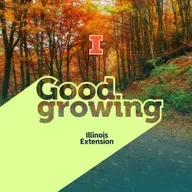 Ep. 229 Why Leaves Change in the Fall and Which Trees Do It Best | #Good Growing