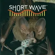 How Baby Bats Learn To Eavesdrop On Dinner