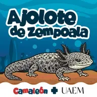 Ajolote de Zempoala: Vivir sin cambiar… y funcionar