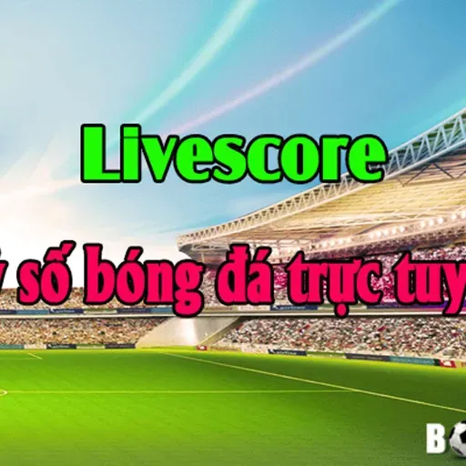 Ty So Bong Da Hom Nay – Cap Nhat Lien Tuc Chinh Xac