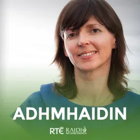 Adhmhaidin
