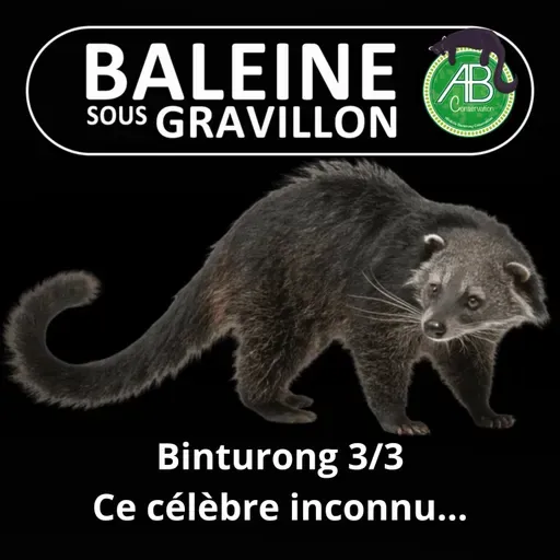 S07E137 Le Binturong 3/3 : Un inconnu pourtant si célèbre...