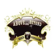 DON'T ALLOW ANY PERSON TO EDIT YOUR LIFE