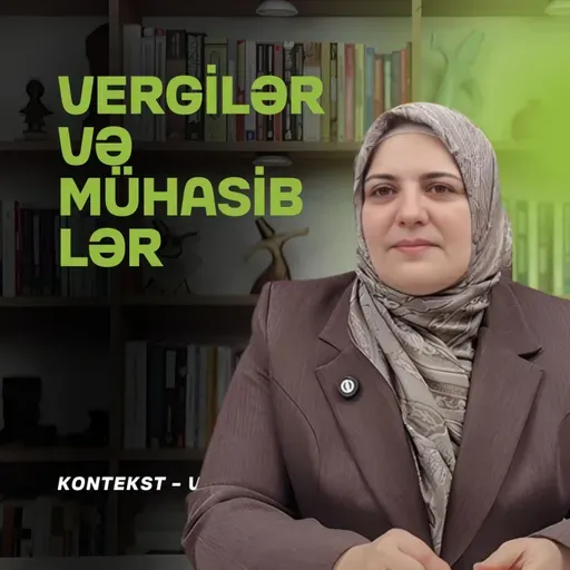Vergilər, mühasibatlıq, Excel, sahibkarlar | Kəmalə Rzayeva | Kontekst