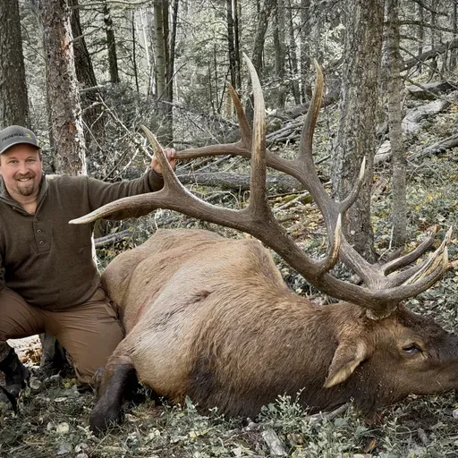 Rut Hunting Big Bull Elk: New Mexico Audio Journal