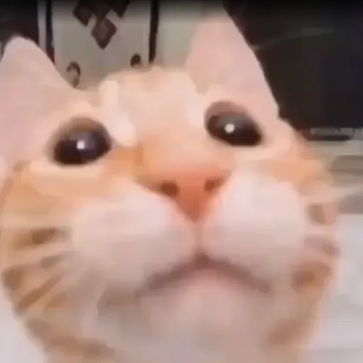 ttsMP3.com_VoiceText_2022-9-4_13_2_9.mp3