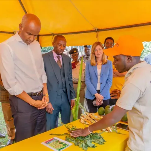 UNICEF yawawezesha vijana kwenye kilimo nchini Kenya