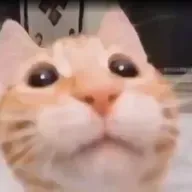 ttsMP3.com_VoiceText_2022-9-4_13_2_9.mp3