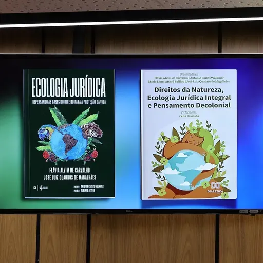 Especialistas defendem que elementos naturais sejam sujeitos de direitos