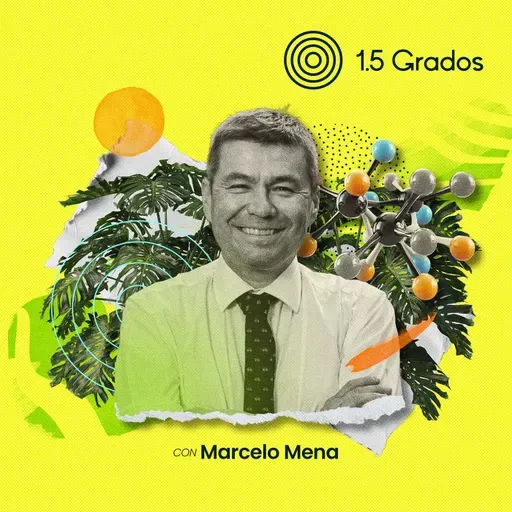 Soluciones reales contra el metano