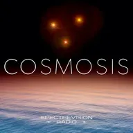 Plasma, Consciousness & the Future of Anomalous Studies