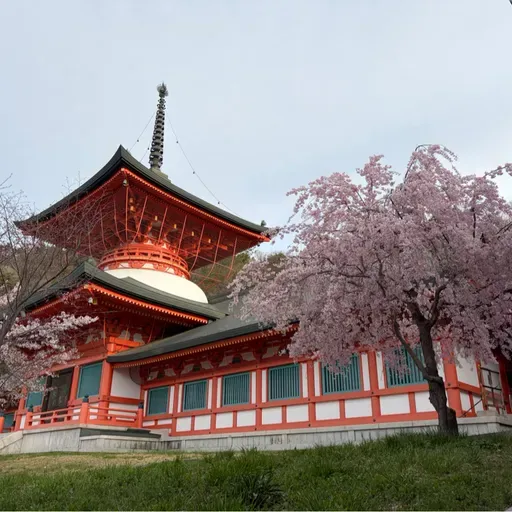 朝ラン6℃。筋肉痛が足りないダウンヒル走と昭和と令和とファンタジスタと心の目と鮮明な記憶。#1829 from Radiotalk