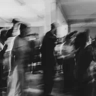 Quinta do Covelo: Música entre Espécies Companheiras