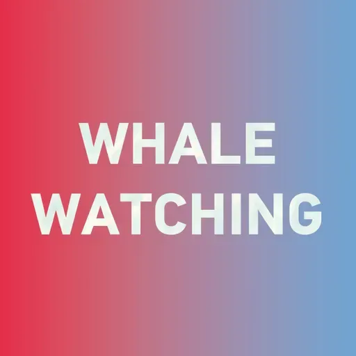 Special: How to say "whale watching 观鲸" in Chinese? 