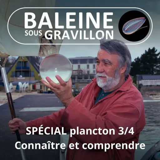 SPÉCIAL PLANCTON 3/4 : Pierre Mollo, une vie pour le "petit peuple de l'eau"