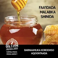 Faa'idada Malabka shinida