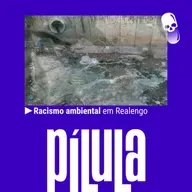 PÍLULA - Racismo ambiental em Realengo