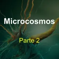 Microcosmos (parte 2) 
